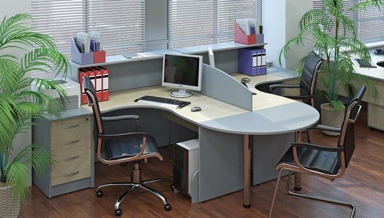 Офисная мебель цвета берёза RIVA